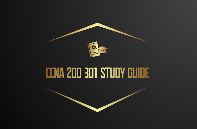 A Comprehensive CCNA 200 301 Study Guide for Success in Networking