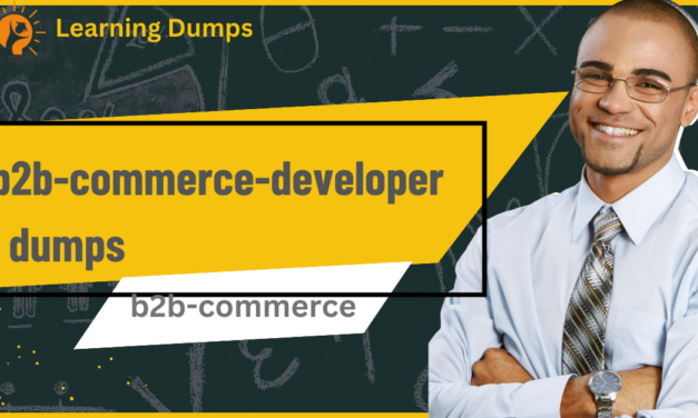 B2B Commerce Developer Dump with Unlock Your Potential