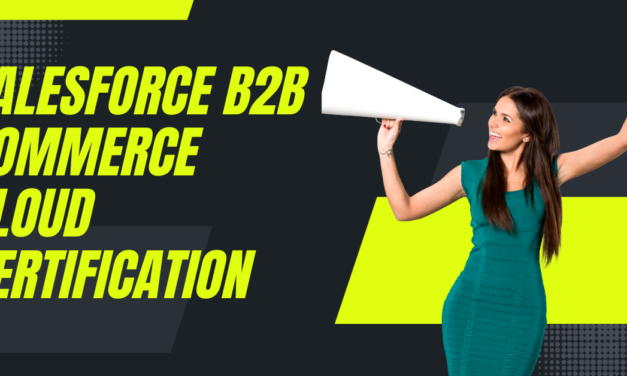 Salesforce B2B Commerce Developer Certification Guide